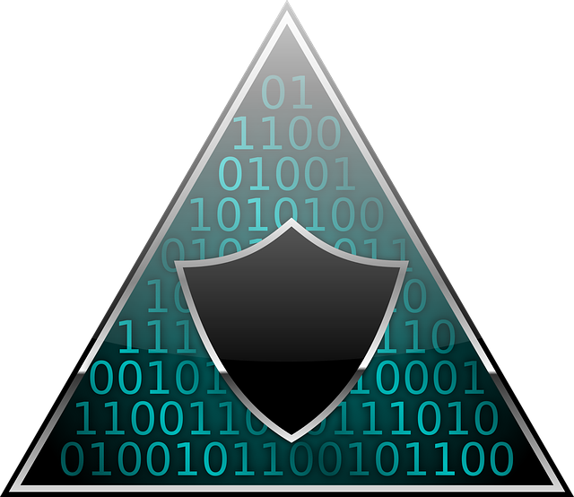 Free download Data Protection Shield -  free illustration to be edited with GIMP free online image editor