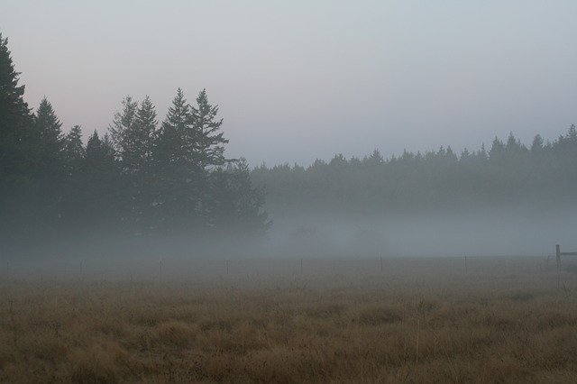 Free download Dawn Fog Farm -  free photo or picture to be edited with GIMP online image editor