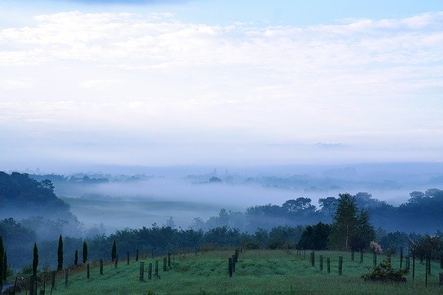 Free download Dawn Morgenstimmung Fog -  free photo or picture to be edited with GIMP online image editor