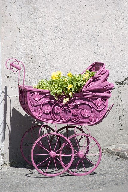 Free download Decoration Flowers Stroller -  free photo or picture to be edited with GIMP online image editor