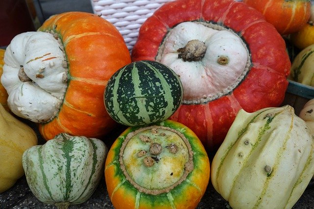 Free download Decorative Squashes Pumpkins -  free free photo or picture to be edited with GIMP online image editor