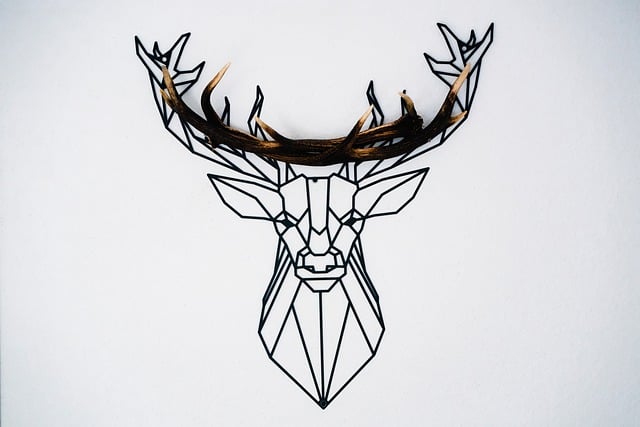 Free download deer antlers line art buck home free picture to be edited with GIMP free online image editor