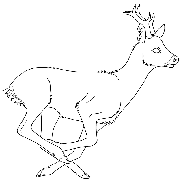 Free download Deer Roe Outline -  free illustration to be edited with GIMP free online image editor