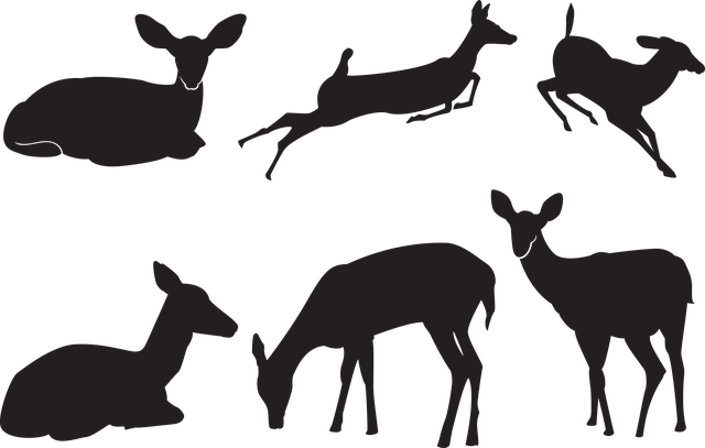 Free download Deer Silhouette Nature - Free vector graphic on Pixabay free illustration to be edited with GIMP free online image editor