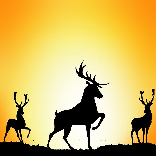 Free download Deer Silhouettes Twilight -  free illustration to be edited with GIMP free online image editor