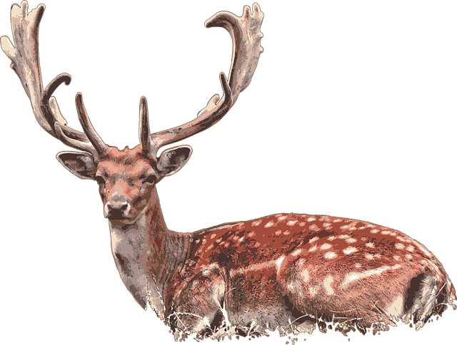 Free download Deer Stag Lying - Free vector graphic on Pixabay free illustration to be edited with GIMP free online image editor