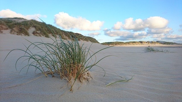 Free download Denmark Dunes Sea -  free photo or picture to be edited with GIMP online image editor