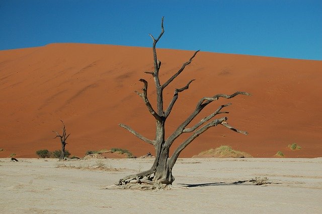 Free download Desert Drought Sand -  free photo or picture to be edited with GIMP online image editor