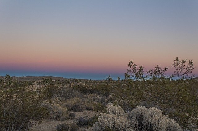 Free download Desert Sky Joshua Tree -  free photo or picture to be edited with GIMP online image editor