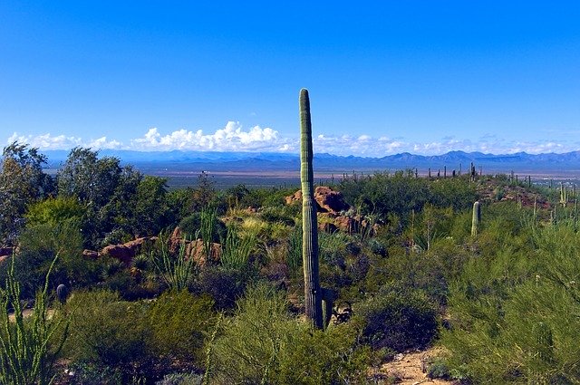 Free download Desert View Arizona-Sonora -  free photo or picture to be edited with GIMP online image editor