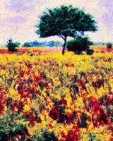 Free download Digital Oil Painting of a Flower-Covered Field in Fredericksburg, Texas free photo or picture to be edited with GIMP online image editor