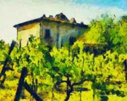 Free download Digital Oil Painting of a Villa Vineyard in Fucecchio, Italy free photo or picture to be edited with GIMP online image editor