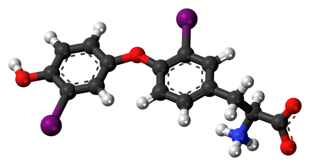 Free download Diiodothyronine Molecule Chemistry -  free illustration to be edited with GIMP free online image editor