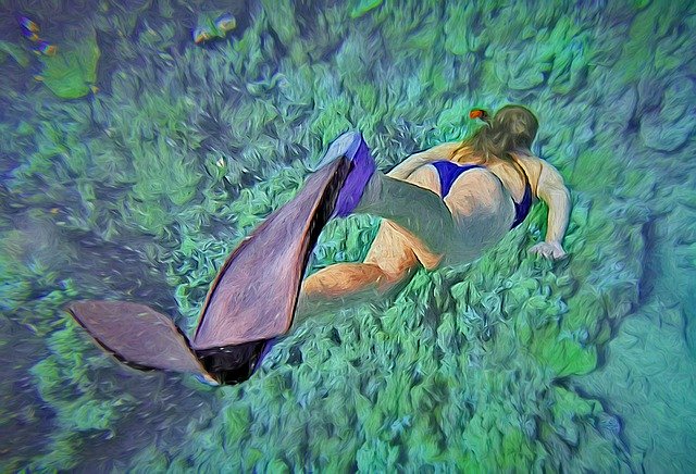 Free download Diving Snorkeling Underwater -  free illustration to be edited with GIMP free online image editor