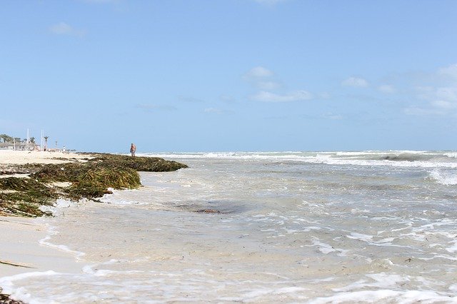 Free download Djerba Island Tunisia -  free photo or picture to be edited with GIMP online image editor