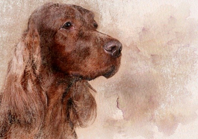 Free download Dog Art Background -  free illustration to be edited with GIMP free online image editor