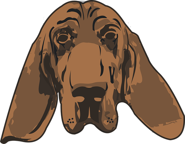 Free download Dog Blood Hound Crime - Free vector graphic on Pixabay free illustration to be edited with GIMP free online image editor