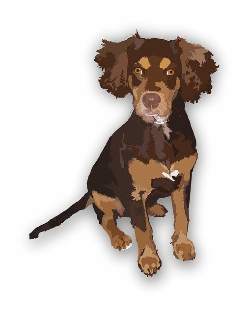 Free download Dog Brown Animals -  free illustration to be edited with GIMP free online image editor