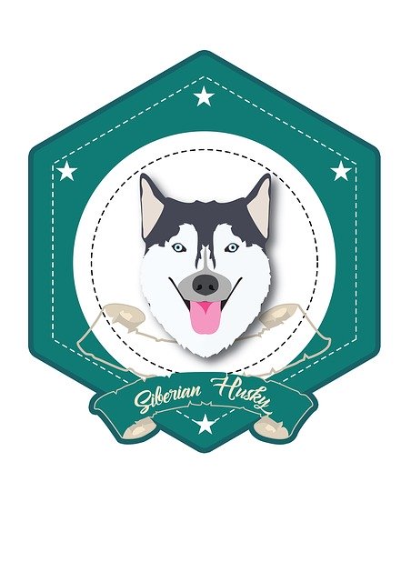 Descarga gratuita Dog Colored Cute - ilustración gratuita para ser editada con GIMP editor de imágenes en línea gratuito