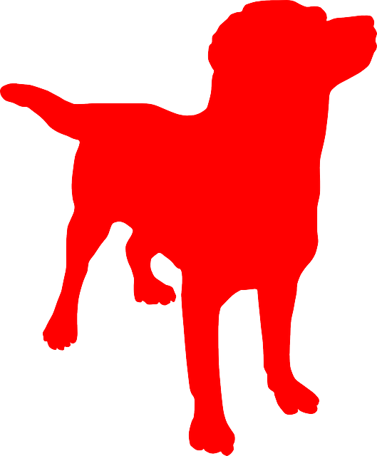 Free download Dog Doggy Canine - Free vector graphic on Pixabay free illustration to be edited with GIMP free online image editor