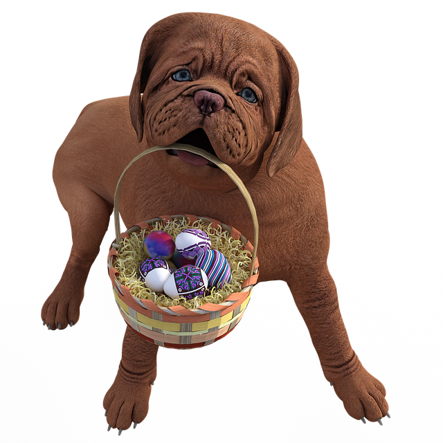 Free download Dog Easter Puppy -  free illustration to be edited with GIMP free online image editor