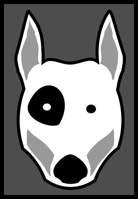 Free download Dog Face Eye - Free vector graphic on Pixabay free illustration to be edited with GIMP free online image editor