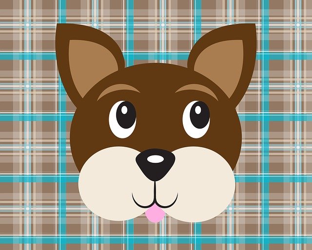 Free download Dog Face Plaid -  free illustration to be edited with GIMP free online image editor