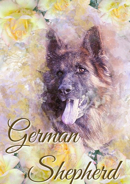 Free download Dog German Sheppard Pet -  free illustration to be edited with GIMP free online image editor