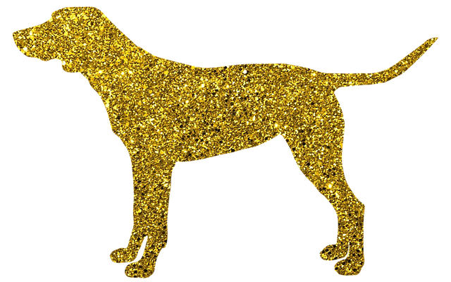 Free download Dog Golden Doggy -  free illustration to be edited with GIMP free online image editor