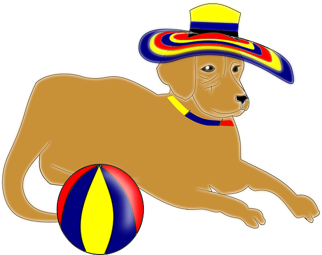 Free download Dog Pet Hat - Free vector graphic on Pixabay free illustration to be edited with GIMP free online image editor