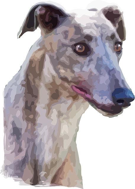 Free download Dog Portrait Alert - Free vector graphic on Pixabay free illustration to be edited with GIMP free online image editor