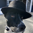 Dog with a Fedora  screen for extension Chrome web store in OffiDocs Chromium