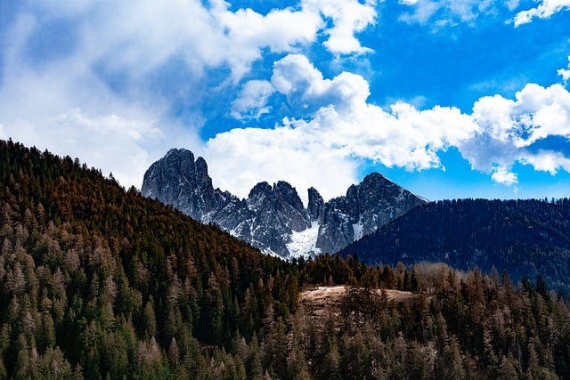 Free download dolomites mountains landscape woods free picture to be edited with GIMP free online image editor