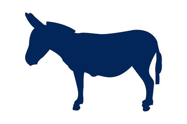 Free download Donkey Animal Silhouette -  free illustration to be edited with GIMP free online image editor