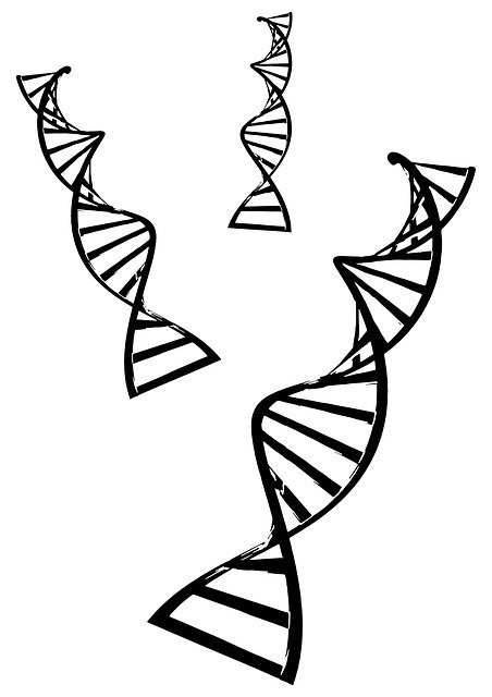 Free download Double Helix Dna -  free illustration to be edited with GIMP free online image editor