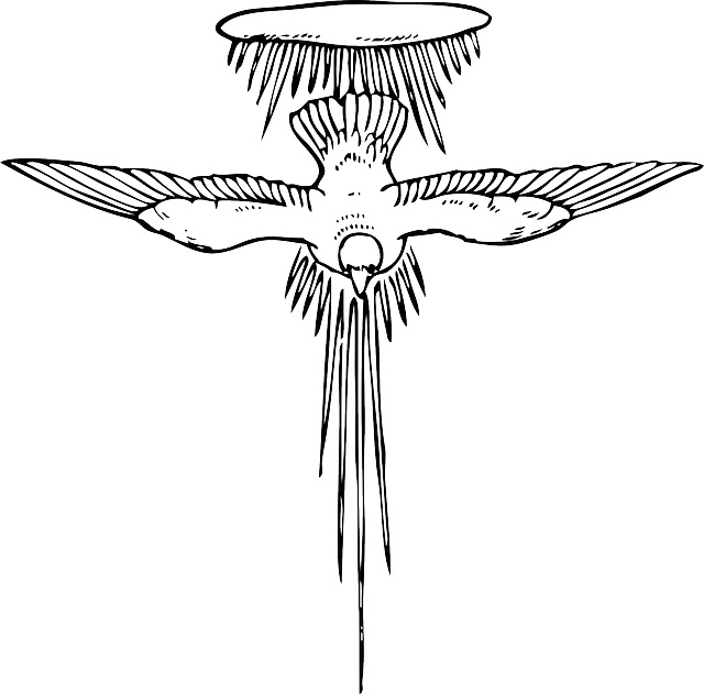 Free download Dove Flying Wings - Free vector graphic on Pixabay free illustration to be edited with GIMP free online image editor