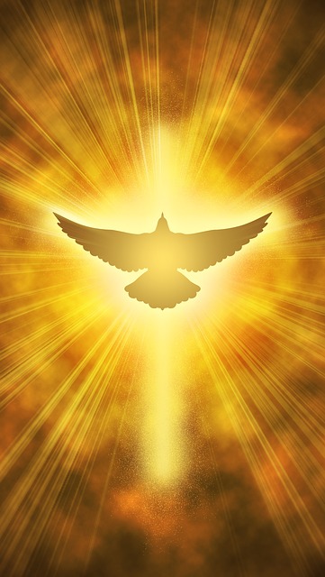 Free download Dove Light Cross free illustration to be edited with GIMP online image editor