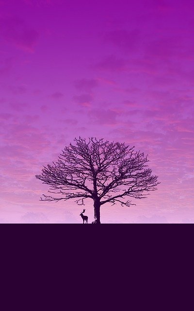 Free download Download Wallpaper Purple -  free illustration to be edited with GIMP free online image editor