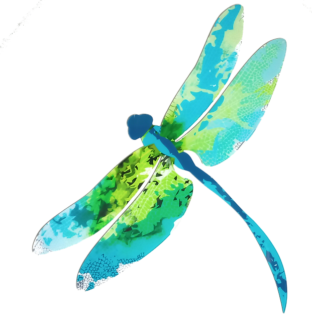 Free download Dragonfly Ornamental Insect -  free illustration to be edited with GIMP free online image editor