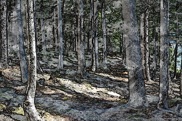 Kostenloser Download Drawing Abstract Forest - kostenlose Illustration zur Bearbeitung mit dem kostenlosen Online-Bildeditor GIMP