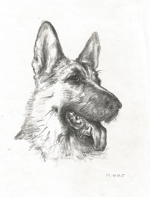 Free download Drawing Dog German Shepherd -  free illustration to be edited with GIMP free online image editor