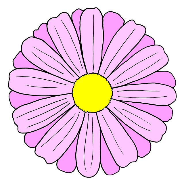 הורדה חינם Drawing Flower Spring - איור חינם לעריכה עם עורך תמונות מקוון בחינם של GIMP