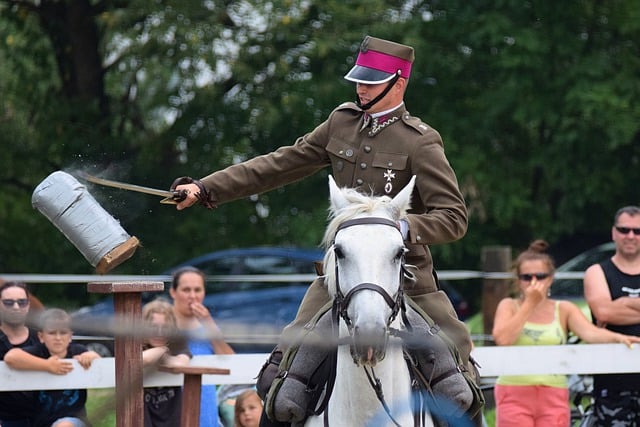 Free download drill cavalryman sabre show free picture to be edited with GIMP free online image editor