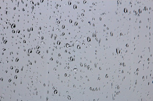 Free download Drip Rain Raindrop -  free photo or picture to be edited with GIMP online image editor