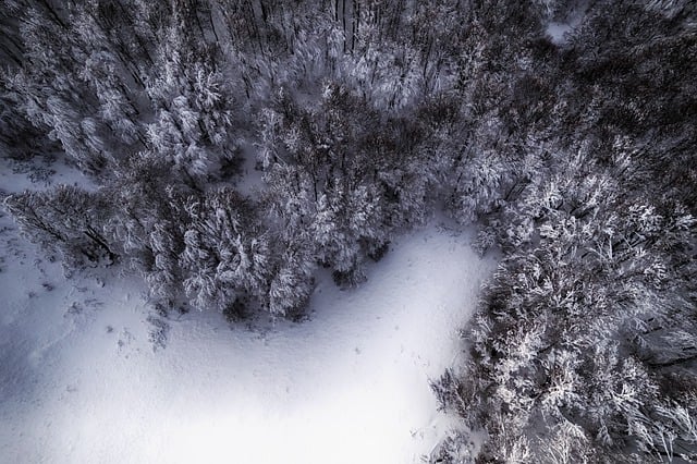 Free download drone aerial trees winter shapes free picture to be edited with GIMP free online image editor