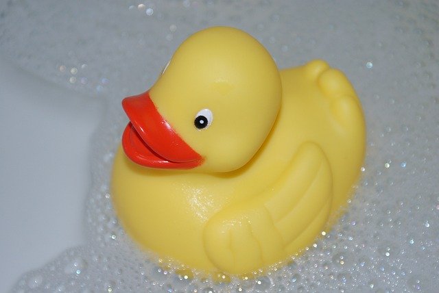 Free download Duck Bath Yellow -  free photo or picture to be edited with GIMP online image editor