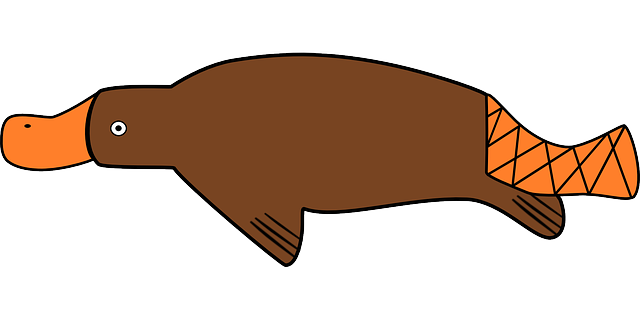 Free download Duck-Billed Platypus Duck - Free vector graphic on Pixabay free illustration to be edited with GIMP free online image editor