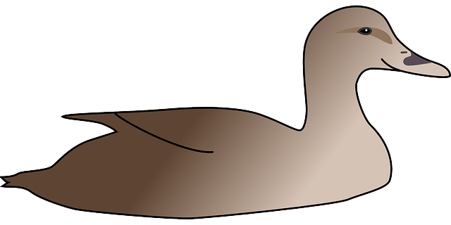 Free download Duck Bird Waterfowl - Free vector graphic on Pixabay free illustration to be edited with GIMP free online image editor