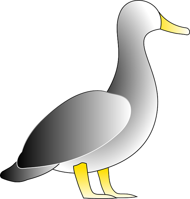 Free download Duck Bird White - Free vector graphic on Pixabay free illustration to be edited with GIMP free online image editor