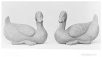 Free download Duck Figure free photo or picture to be edited with GIMP online image editor